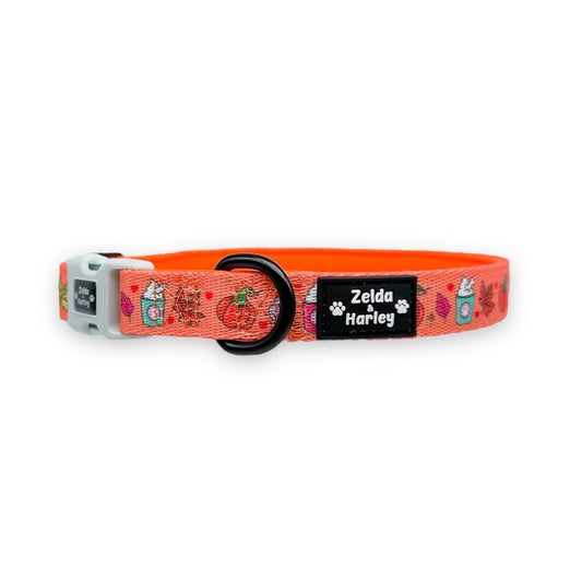 Zelda & Harley Collar Pupkin Spice Collar