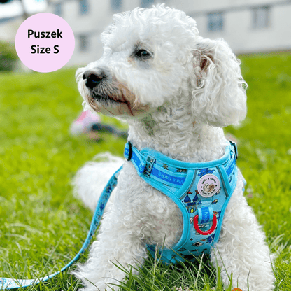 Zelda & Harley Harness Pup Charming - Adventure No Pull Harness